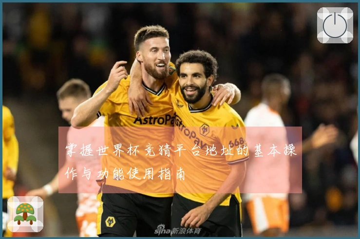 掌握世界杯竞猜平台地址的基本操作与功能使用指南