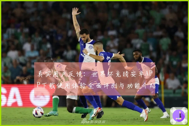 真实用户反馈：世界杯竞猜安卓APP下载使用体验全面评测与功能介绍
