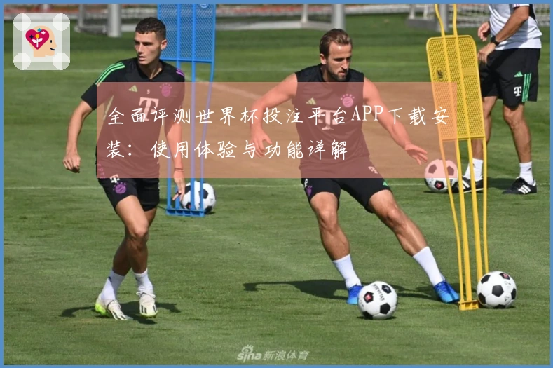全面评测世界杯投注平台APP下载安装：使用体验与功能详解