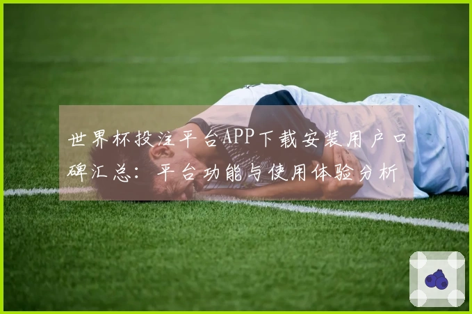 世界杯投注平台APP下载安装用户口碑汇总:平台功能与使用体验分析